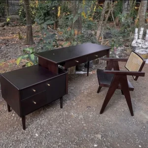 Office Desk Thrive